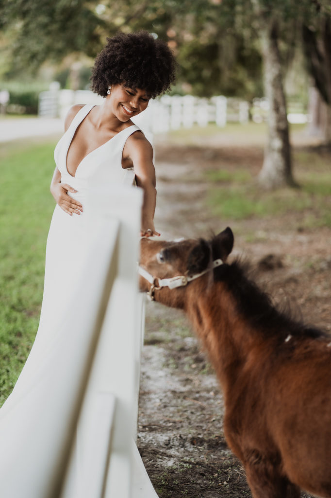 Bride and horse on wedding day