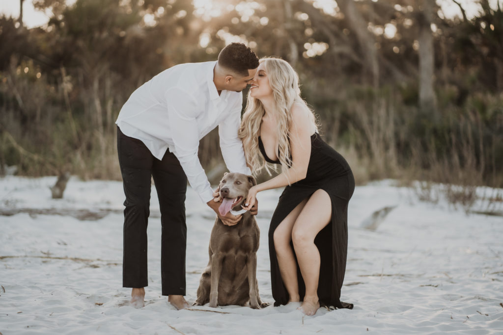 dogs at engagement session